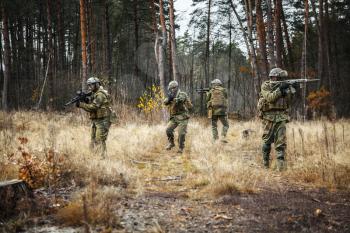 Norwegian Rapid reaction special forces FSK soldiers in field uniforms patrolling in the forest trees