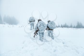 Winter arctic mountains warfare. Action in cold conditions. Squad of soldiers with weapons in forest somewhere above the Arctic Circle. Back view