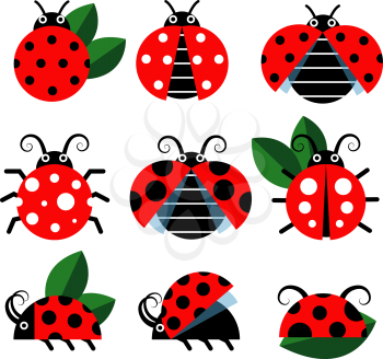 Ladybug icons. Cute ladybugs funny insect vector on white