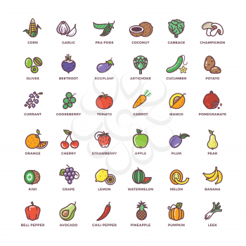 Fruit and vegetables line vector icons with flat elements. Vegetable food, element fruit, sign fruit and vegetables set, fruit and vegetables illustration