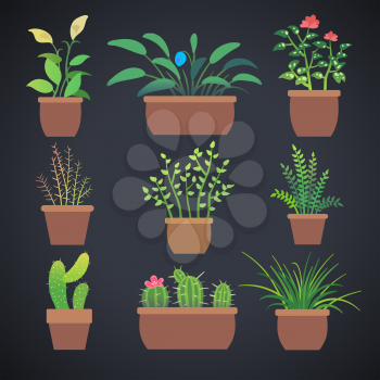 House plants, flowers in pots. Vector home flowers in pots with green leaves