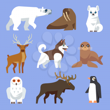 North Arctic and Antarctic animals and birds. Vector flat collection. Winter wild animal, polar animal, wildlife mammal animal illustration