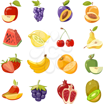 Vector juicy fruits collection. Fruit food set fresh, orange sweet and nature lemon fruit illustration