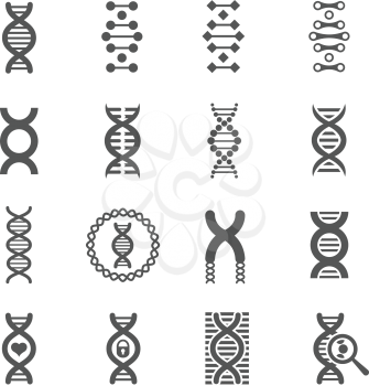 DNA spiral vector black icons. Biology genetic signs and dna molecule symbols for chemistry or biology