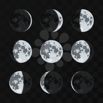 Moon phases vector set. Night moon and nature full moon illustration