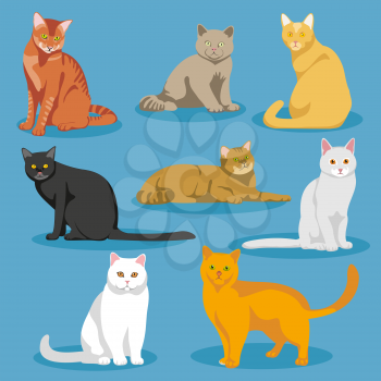 Cute cartoon kitties or cats vector set. Set of cats and cartoon illustration of domestic cat