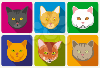 Cat portraits vector collection. Set of head cat and muzzle of cats with eyes and whisker illustration