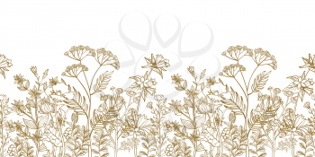 Seamless vector floral border with black white hand drawn herbs and wild flowers. Pattern endless with blossom flowers. Floral seamless border with flowers illustration