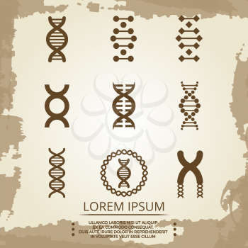 DNA vector icons - vintage biology poster with DNA spirals. Research and analytics biochemistry illustration