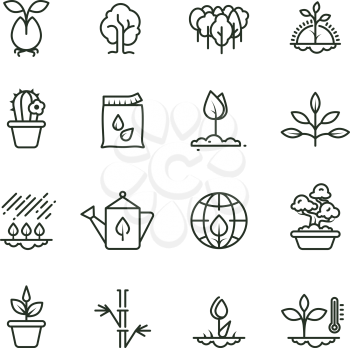 Plant, planting and seed line vector icons. Sprout growing symbols. Illustration of plant and sprout, growth tree