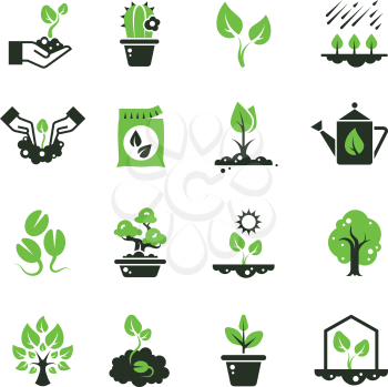 Tree sprout and plants vector icons. Seedling and hand planting pictograms. Seedling and growth tree, gardening and growing illustration