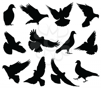 Flying dove vector silhouettes isolated. Pigeons set love and peace symbols. Black shape form dove and pigeon silhouette illustration