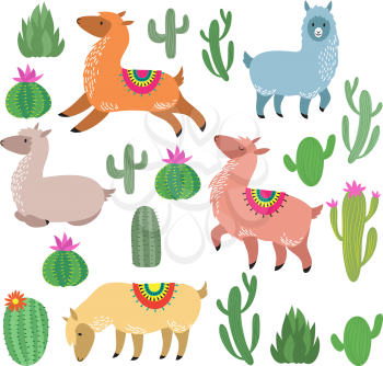 Cute alpaca lamas. Wildlife vector llama characters. Wildlife alpaca and green cactus illustration