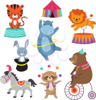Cartoon circus animals for child birthday card vector. Animal in circus, happy elephant and lion, carnival show with bear on bike illustration