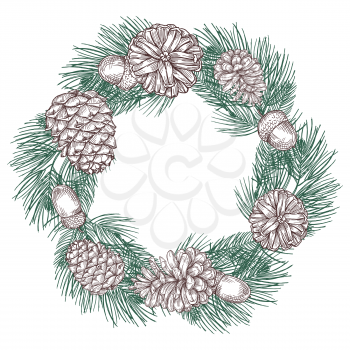 Green spruce branches wreath with cones vector illustration. Christmas branch wreath spruce, traditional holiday ornament