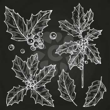 Hand drawn winter holidays botanical decorations vector set isolated on black background