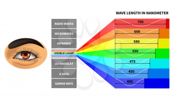 Visible light spectrum. Color waves length perceived by human eye. Rainbow electromagnetic waves. Educational school physics diagram. Scheme nanometer, rays electromagnetic spectrum illustration