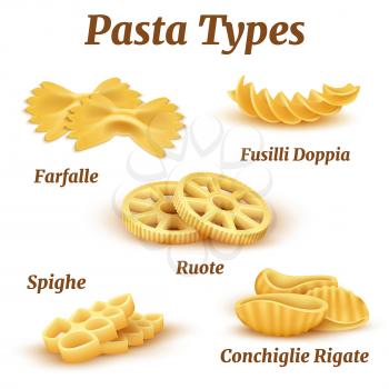 Realistic traditional italian pasta types vector set. Illustration of macaroni traditional for pasta italian