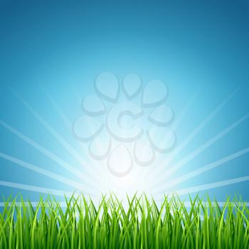 Abstract vector rising sun over green grass background. Nature meadow in light sunny illustration