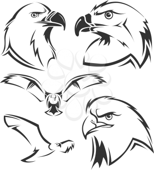 Eagle, hawk vector mascots set. Tattoo head of eagle and emblem freedom eagle illustration