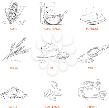 Doodle cereals groats, porridge, muesli, cornflakes, oat and rye, wheat and barley, millet or buckwheat, rice, corn vector. Set of cereals sketch. Vector illustration