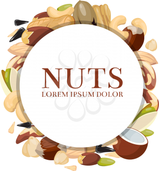 Healthy food vector concept with different nuts. Round banner with nuts and illustration raw seed and cashew nut