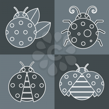 Gray ladybug with white stroke on gray background. Vector illustration