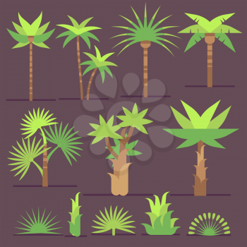 Tropical exotic plants and palm trees vector flat icons. Set of trees with green leaves, illustration of summer tree