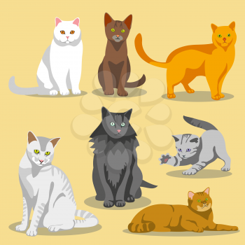Cute vector cats with different colored fur and markings. Set of cats and illustration cat pet