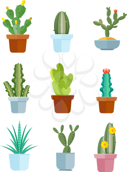 Cartoon cactus, desert plants vector icons. Bloom mexican cacti illustration