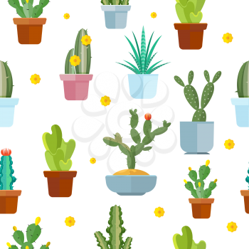 Cactus seamless vector pattern. Blooming cactus on white background illustration