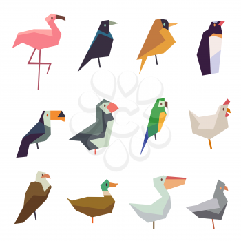 Cute birds vector flat icons set. Illustration of wild parrot and pigeon