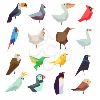 Birds in flat style vector collection. Chicken and parrot, sparrow and pigeon illustration