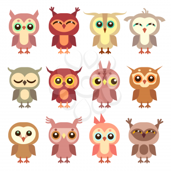Cute owl vector flat characters set. Illustration of cartoon bird owl
