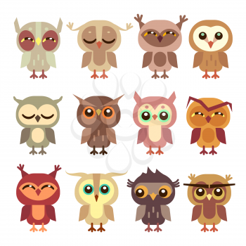 Funny cartoon owls vector set. Wild bird predator, little owlet illustration
