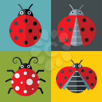 Ladybug icons in flat style on color background with long shadow. Vector illustration