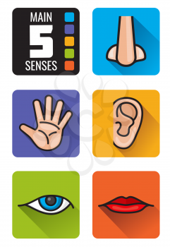 Five senses, nose, hand, mouth, eye, ear vector icons set. Set of human senses smell sight, hearing taste and touch illustration