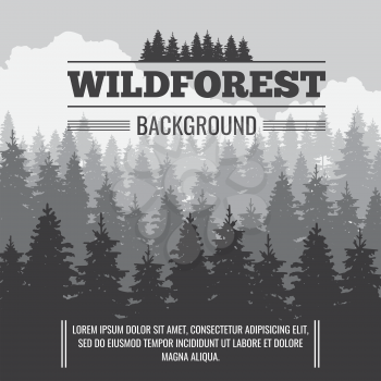 Wild coniferous pine forest vector outdoor nature background. Banner with pine landscape illustration