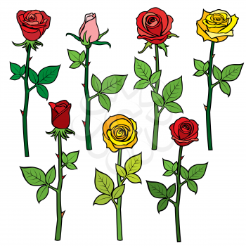 Roses with flower buds isolated on white. cartoon vector illustration. Colored flowers rose yellow and red, floral cartoon plant, blossom roses illustration