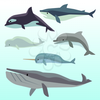 Whales and dolphins, marine underwater mammal, ocean animals flat vector set. Sea wildlife and fish cartoon character illustration
