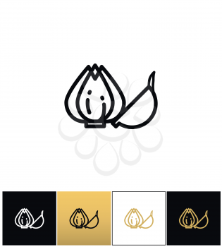 Garlic bulb or allium plant vector icon. Garlic bulb or allium plant pictograph on black, white and gold backgrounds