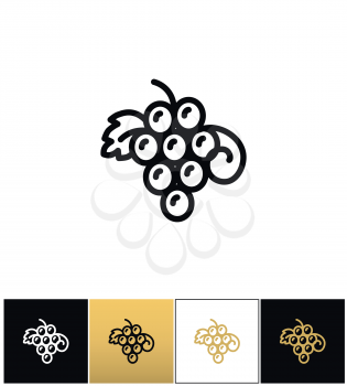 Hanging grapes or vine grape with leaves vector icon. Hanging grapes or vine grape with leaves pictograph on black, white and gold backgrounds