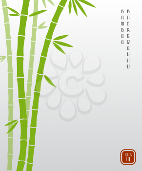 Chinese bamboo or japanese bambu asian vector background. Bamboo plant nature, exotic green stem of bamboo illustration