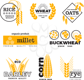Organic wheat grain farming agriculture vector logo set. Logo with grain, emblem farming natural golden grains illustration