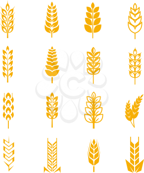 Wheat ears bread vector symbols. Harvest grain and wheat, cereal rye illustration