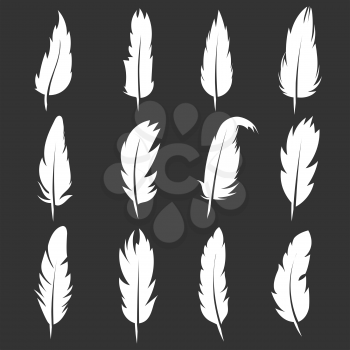 Vector feather vintage pens on black background. White quill silhouette for writing illustration