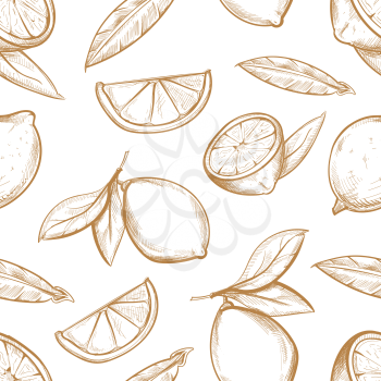 Vector seamless pattern with hand drawn lemons with branch, lemon blossom, citrus slices and leaves. Sketch background with sour fruit illustration