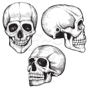 Hand drawn vector death scary human skulls collection. Skeleton head sketch with eyes and teeth