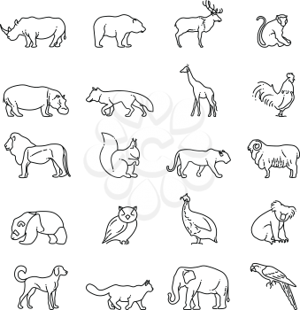 Animals thin line vector icons. Giraffe and tiger, sheep and koala in linear style illustration