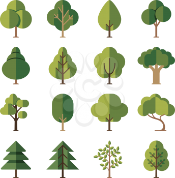 Green summer forest tree flat vector icons. Pine and oak, evergreen plant illustration